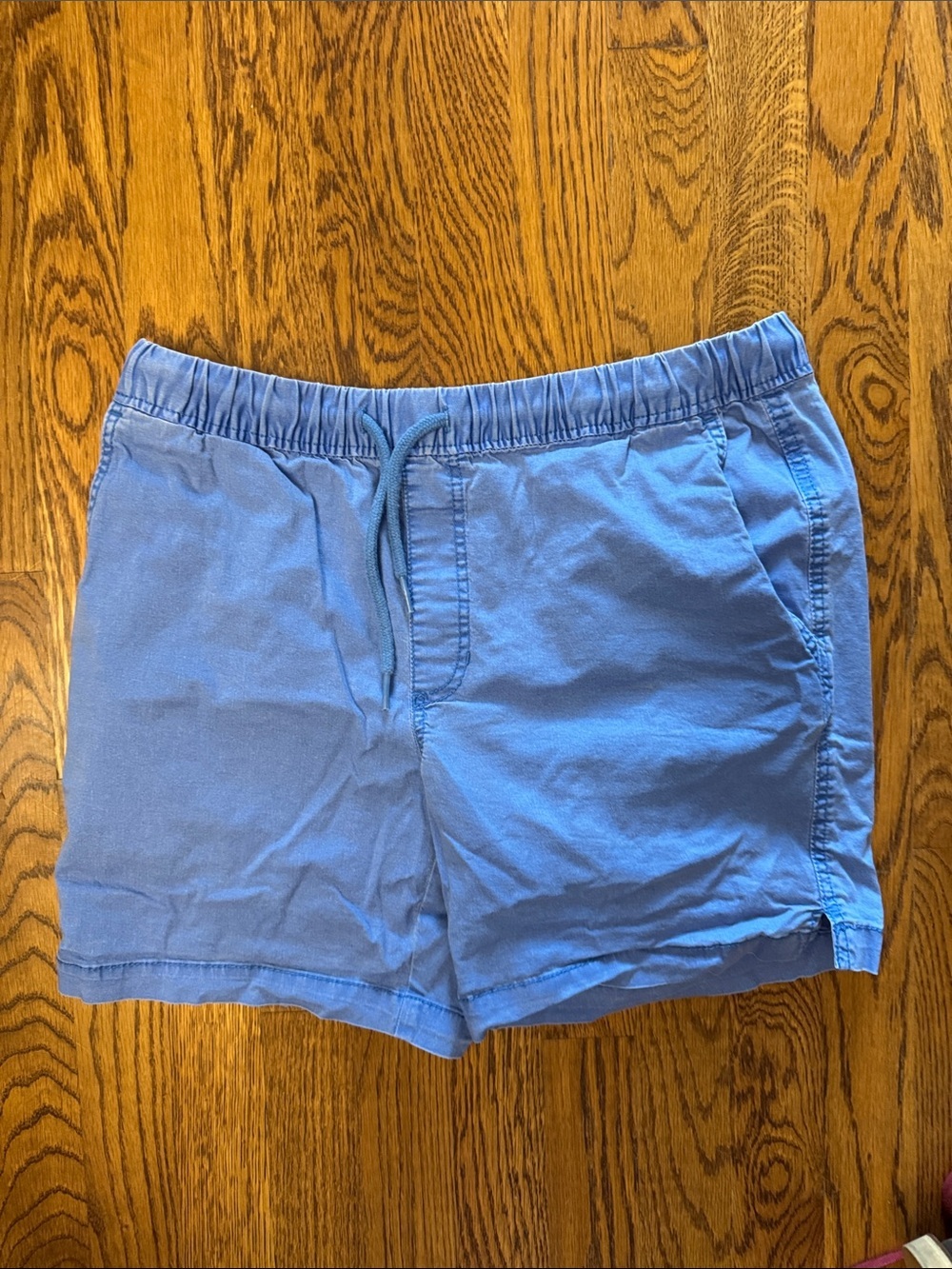 Izod Saltwater Light Blue Men's Casual Drawstring Shorts size Small Inseam 7”